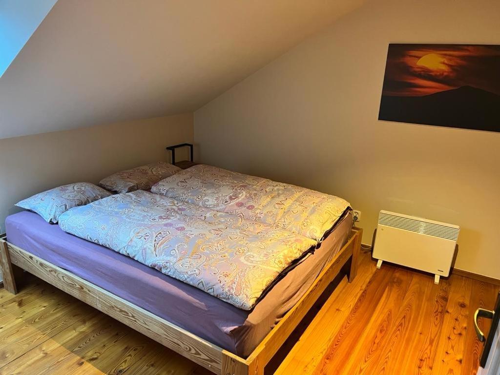 Duzy Apartament Duszniki-Zdroj Duszniki Zdrój Extérieur photo